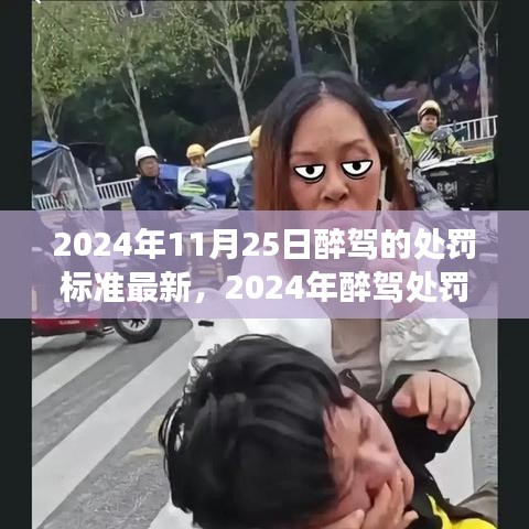 2024年醉駕處罰標(biāo)準(zhǔn)詳解，酒后駕駛行為的法律嚴(yán)懲