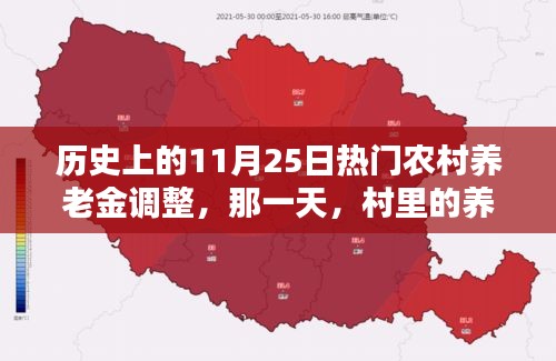 農(nóng)村養(yǎng)老金調(diào)整喜訊，歷史性的11月25日飄來(lái)的喜訊