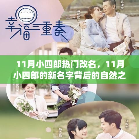 11月小四郎的新名字之旅，自然探索與心靈冒險的交融