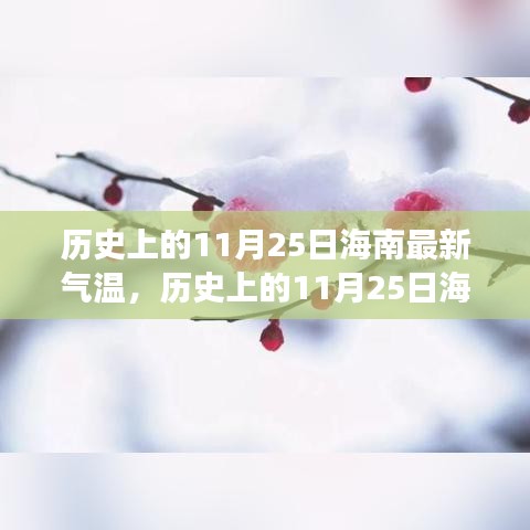 歷史上的海南氣溫變遷與勵(lì)志篇章，揭秘11月25日海南氣溫的力量與自信之源