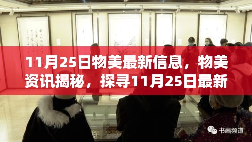 11月25日物美最新動(dòng)態(tài)揭秘，探尋最新資訊