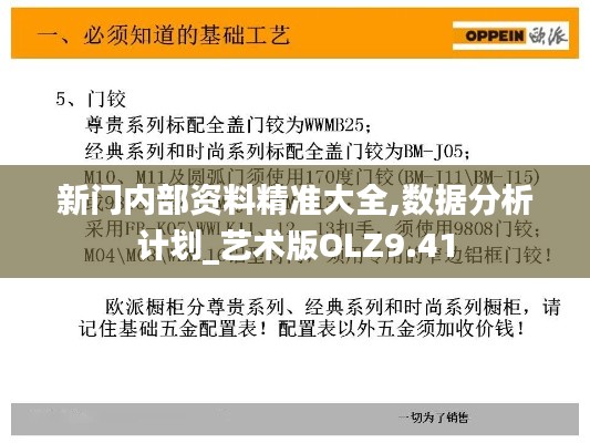 新門內(nèi)部資料精準(zhǔn)大全,數(shù)據(jù)分析計劃_藝術(shù)版OLZ9.41