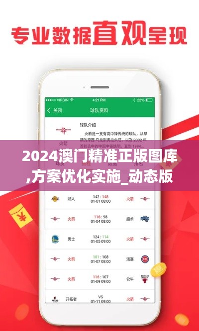 2024澳門精準(zhǔn)正版圖庫,方案優(yōu)化實施_動態(tài)版FGU9.39
