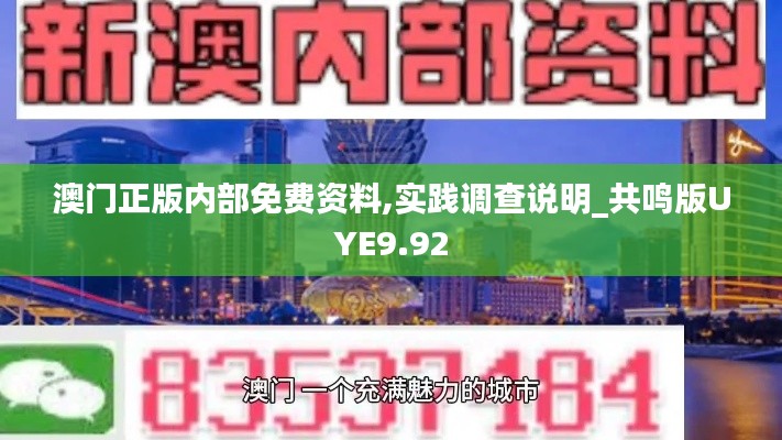 澳門正版內(nèi)部免費資料,實踐調(diào)查說明_共鳴版UYE9.92