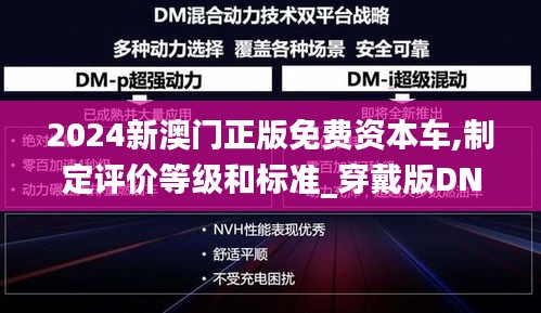 2024新澳門正版免費資本車,制定評價等級和標(biāo)準(zhǔn)_穿戴版DNC9.86