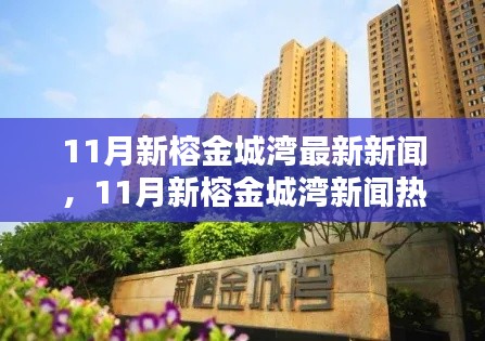 11月新榕金城灣最新新聞，11月新榕金城灣新聞熱點解析