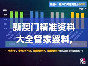 新澳門精準(zhǔn)資料大全管家婆料,系統(tǒng)分析方案設(shè)計(jì)_社交版PTL9.15