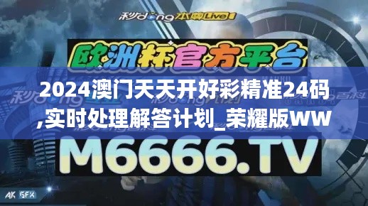 2024澳門(mén)天天開(kāi)好彩精準(zhǔn)24碼,實(shí)時(shí)處理解答計(jì)劃_榮耀版WWP9.68