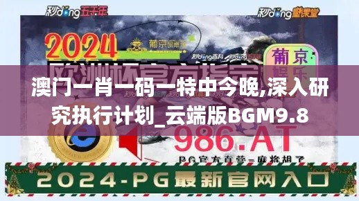澳門一肖一碼一特中今晚,深入研究執(zhí)行計劃_云端版BGM9.8