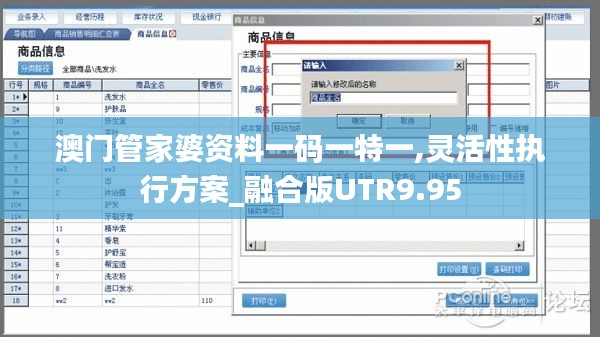 澳門管家婆資料一碼一特一,靈活性執(zhí)行方案_融合版UTR9.95