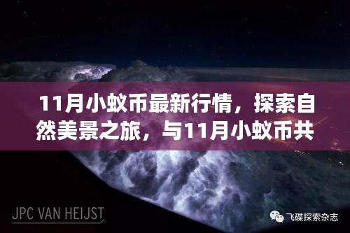 11月小蟻幣行情概覽與探索自然美景之旅，共舞心靈平和之地