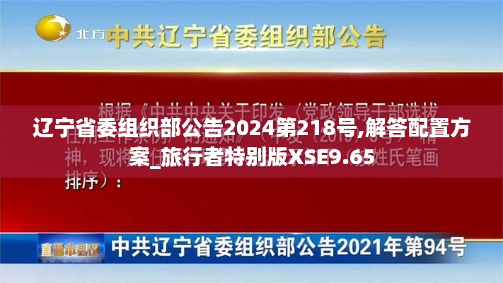 遼寧省委組織部公告2024第218號(hào),解答配置方案_旅行者特別版XSE9.65
