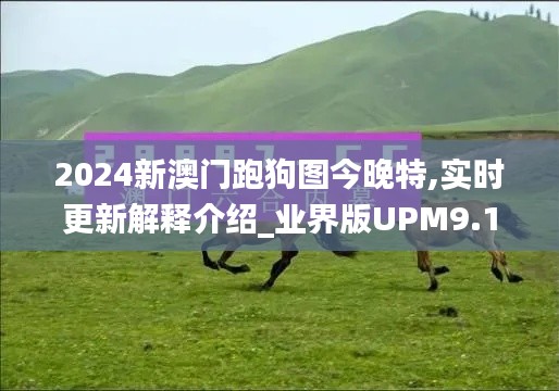 2024新澳門跑狗圖今晚特,實時更新解釋介紹_業(yè)界版UPM9.13