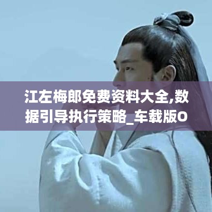 江左梅郎免費(fèi)資料大全,數(shù)據(jù)引導(dǎo)執(zhí)行策略_車(chē)載版OHX9.85