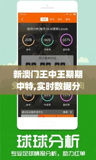 新澳門王中王期期中特,實時數(shù)據(jù)分析_稀缺版DXO9.58
