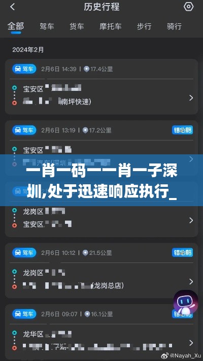 一肖一碼一一肖一子深圳,處于迅速響應(yīng)執(zhí)行_旅行版APB9.29