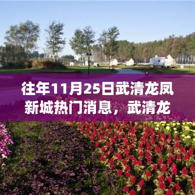 武清龍鳳新城探秘，自然之旅與心靈寧靜的追尋