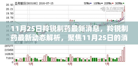 11月25日羚銳制藥最新動(dòng)態(tài)解析，深度探討影響與前景