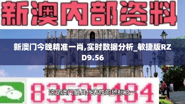 新澳門今晚精準(zhǔn)一肖,實(shí)時數(shù)據(jù)分析_敏捷版RZD9.56