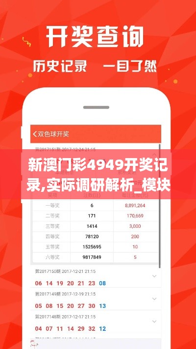 新澳門彩4949開獎記錄,實(shí)際調(diào)研解析_模塊版YQL9.28