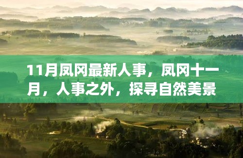 鳳岡十一月人事動(dòng)態(tài)與探尋自然美景的心靈之旅