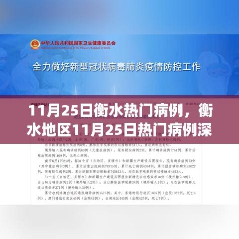 衡水地區(qū)11月25日熱門病例深度解析與背景探討，事件及其影響分析