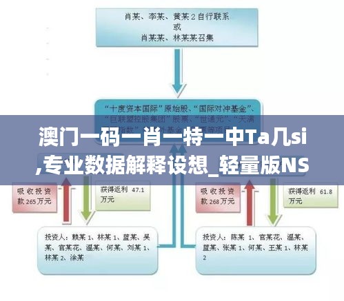 澳門一碼一肖一特一中Ta幾si,專業(yè)數(shù)據(jù)解釋設想_輕量版NSQ9.67
