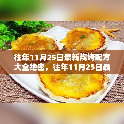 往年11月25日最新燒烤配方大全揭秘，專業(yè)評測與深度介紹