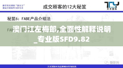 澳門江左梅郎,全面性解釋說明_專業(yè)版SFD9.82
