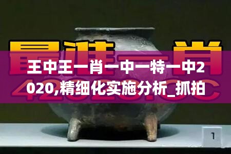 王中王一肖一中一特一中2020,精細(xì)化實(shí)施分析_抓拍版XGH9.75