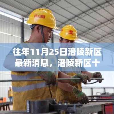 涪陵新區(qū)最新進展報告，深度解讀三大要點，十一月二十五日最新消息速遞