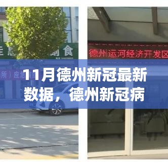 德州新冠病毒疫情最新數(shù)據(jù)報(bào)告（11月版），疫情現(xiàn)狀、變化與應(yīng)對(duì)策略揭秘
