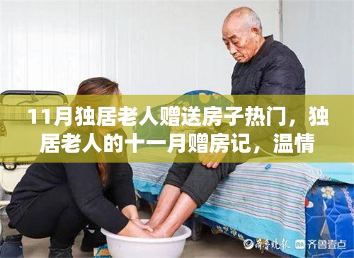 獨(dú)居老人十一月贈(zèng)房記，溫情紐帶傳遞友愛(ài)與關(guān)懷