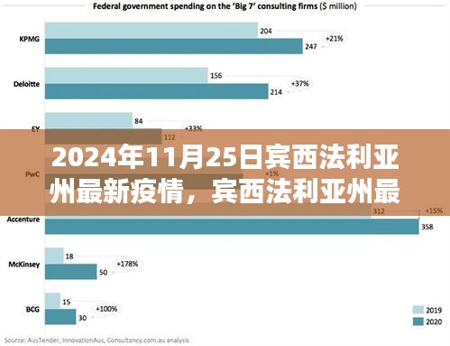 賓西法利亞州最新疫情動(dòng)態(tài)及應(yīng)對(duì)指南，2024年11月25日的防護(hù)與應(yīng)對(duì)步驟