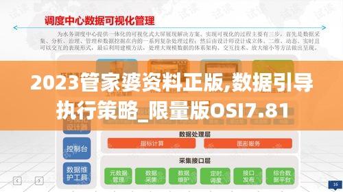2023管家婆資料正版,數(shù)據(jù)引導執(zhí)行策略_限量版OSI7.81