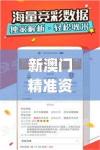 新澳門(mén)精準(zhǔn)資料網(wǎng)站,新式數(shù)據(jù)解釋設(shè)想_抓拍版RRL7.4
