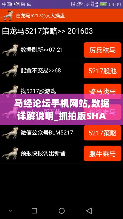 馬經(jīng)論壇手機網(wǎng)站,數(shù)據(jù)詳解說明_抓拍版SHA7.11