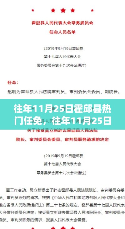 往年11月25日霍邱縣人事任免深度解析與觀點(diǎn)闡述