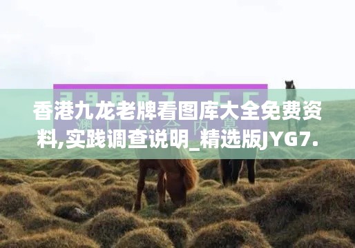 香港九龍老牌看圖庫大全免費資料,實踐調(diào)查說明_精選版JYG7.2