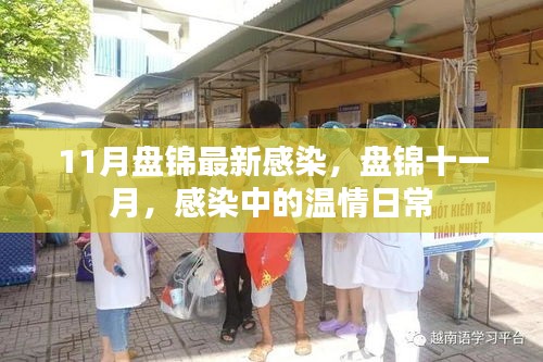 盤錦十一月，溫情日常中的最新感染情況