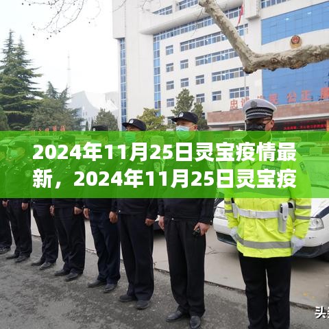 初學(xué)者與進(jìn)階用戶必讀，2024年11月25日靈寶疫情最新情況及應(yīng)對指南