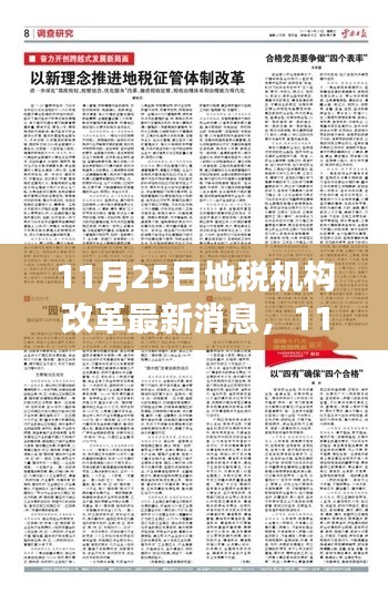 深度解析與觀點闡述，11月25日地稅機構(gòu)改革最新消息