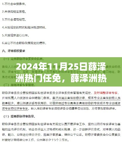 2024年11月25日薛澤洲熱門任免任務(wù)指南，初學(xué)者與進(jìn)階用戶適用