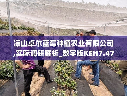 涼山卓爾藍(lán)莓種植農(nóng)業(yè)有限公司,實(shí)際調(diào)研解析_數(shù)字版KEH7.47