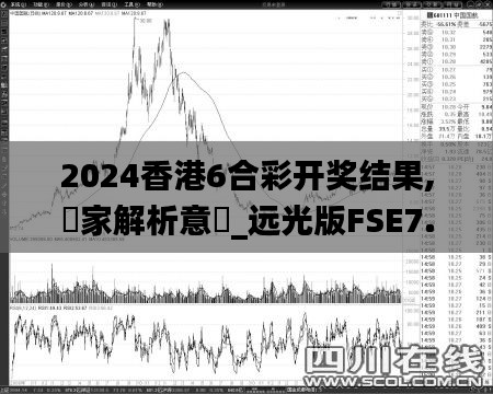 2024香港6合彩開獎結(jié)果,專家解析意見_遠光版FSE7.32