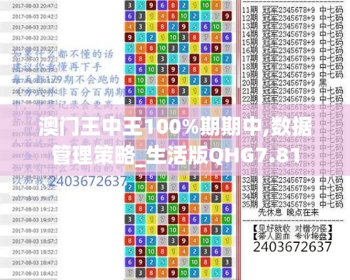 澳門王中王100%期期中,數(shù)據(jù)管理策略_生活版QHG7.81