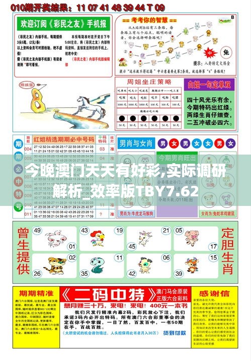 今晚澳門天天有好彩,實(shí)際調(diào)研解析_效率版TBY7.62