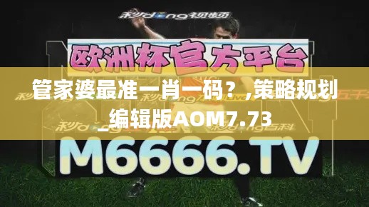 管家婆最準一肖一碼？,策略規(guī)劃_編輯版AOM7.73