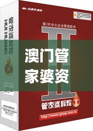 澳門管家婆資料,高效性設計規(guī)劃_珍藏版YDW7.92