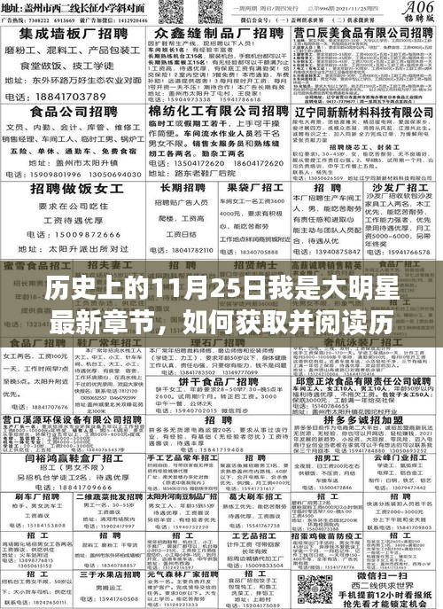 歷史上的11月25日，我是大明星最新章節(jié)獲取與閱讀指南